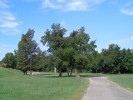 Roadside Park in Carrollton, AR