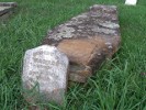 Carrollton Cemetery Grave and Vault
